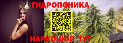 2c-b Свободный