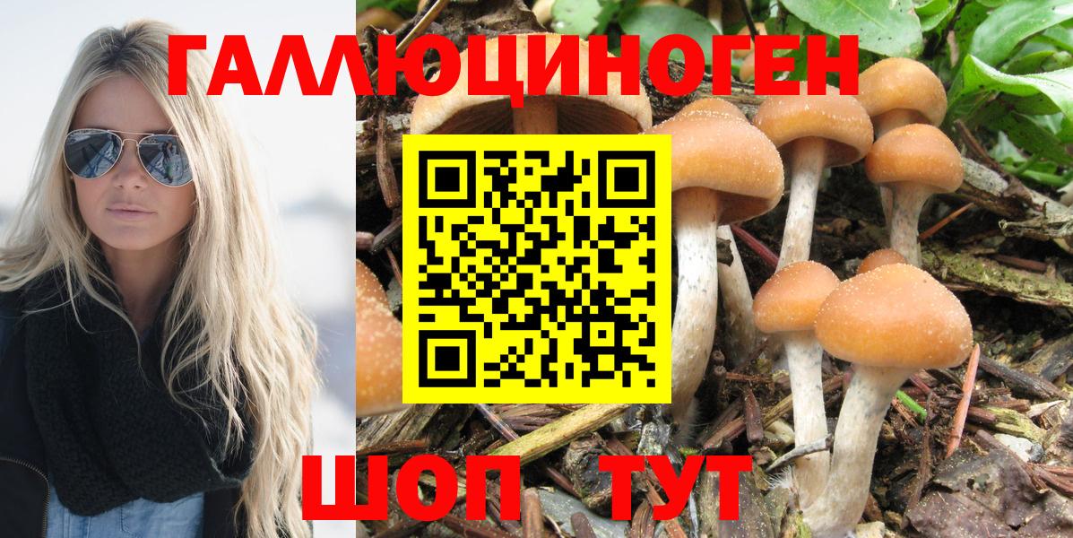 Галлюциногенные грибы Cubensis Отрадное