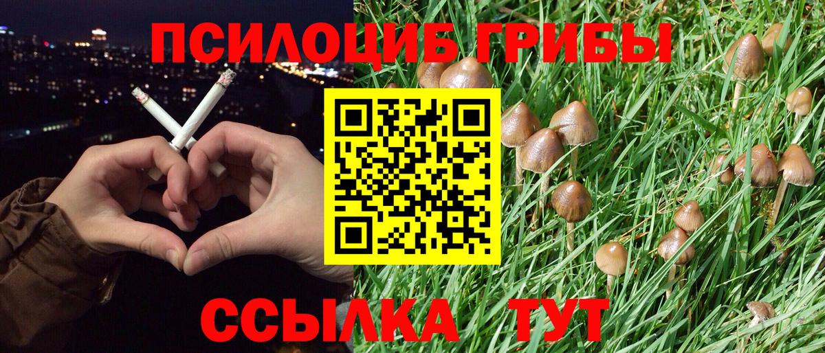 где найти   Псилоцибиновые грибы MAGIC MUSHROOMS  Вход с VPN  Отрадное 